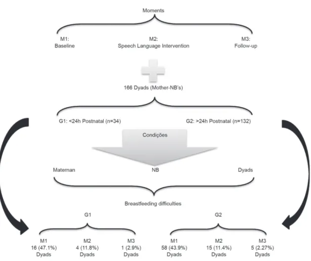 Figure 1. Study design flowchart, considering postnatal age, moments of evaluation and maternal, NB and dyad conditions