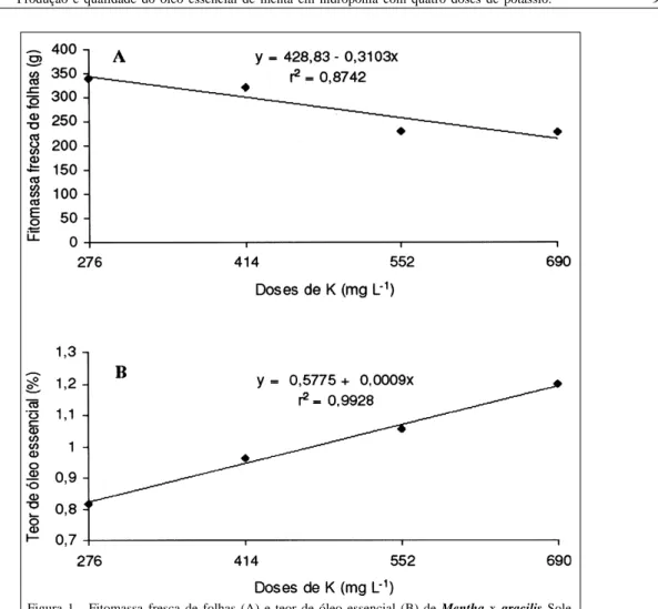 Figura 1 - Fitomassa fresca de folhas (A) e teor de óleo essencial (B) de Mentha  x  gracilis  Sole cultivada em quatro doses de K na solução hidropônica.