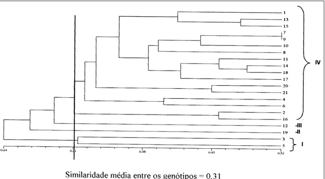 Figura 1 - Dendrograma de similaridade genética do fungo simbionte de formigas cortadeiras submetido a diferentes períodos de exposição à luz ultravioleta (0, 5, 10, 15, 20, 25 e 30min): 1 a 7 (A