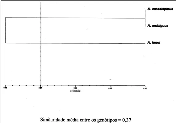 Figura 2 - Dendrograma de similaridade genética do fungo simbionte de A. crassispinus,  A