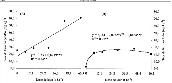 Figura 3 - Teores de ferro no pendão (A) e na folha (B), em função de doses de lodo de esgoto aplicadas em ARGISSOLO AMARELO; ** Significância a 1% pelos testes t (parâmetros) e F (regressão).