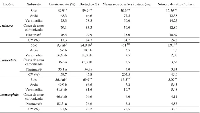 Tabela 2 - Comportamento de estacas de Baccharis trimera,  Baccharis articulata  e  Baccharis stenocephala em diferentes substratos