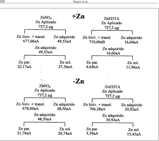 Figura 3 - Conteúdo ( µg) de Zn translocado (transl.) e lixiviado (lixiv.), adquirido, retido na parede celular (Zn par.) e na fração solúvel (Zn sol.) de folhas medianas de mudas de cafeeiro, adequadamente nutridas (+Zn) e mal nutridas (-Zn), pinceladas c