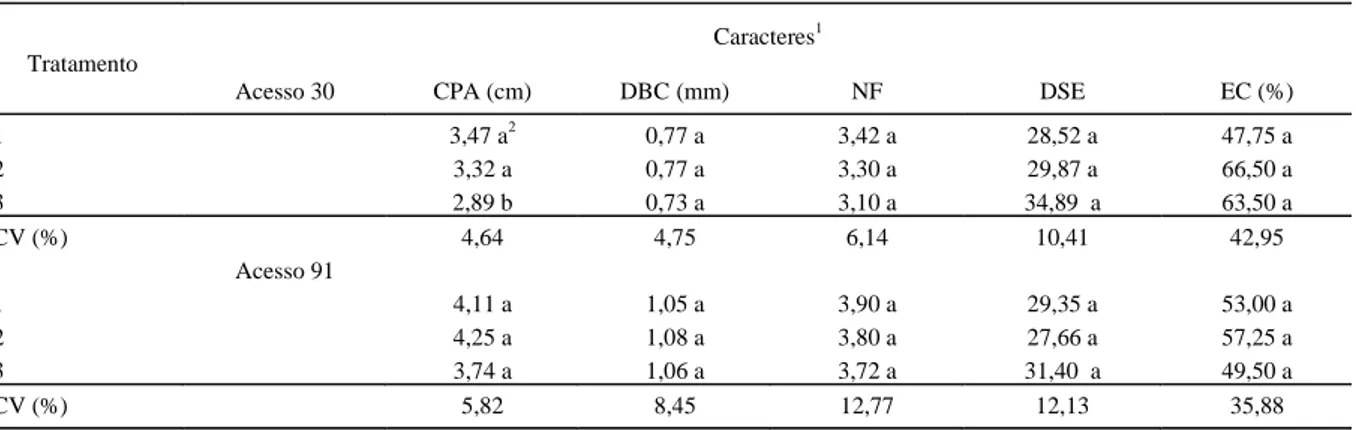 Tabela 1 - Caracteres morfo-fisiológicos de plântulas dos acesso 30 e 91 do Banco Ativo de Germoplasma de Maytenus ilicifolia  em diferentes condições de semeadura.