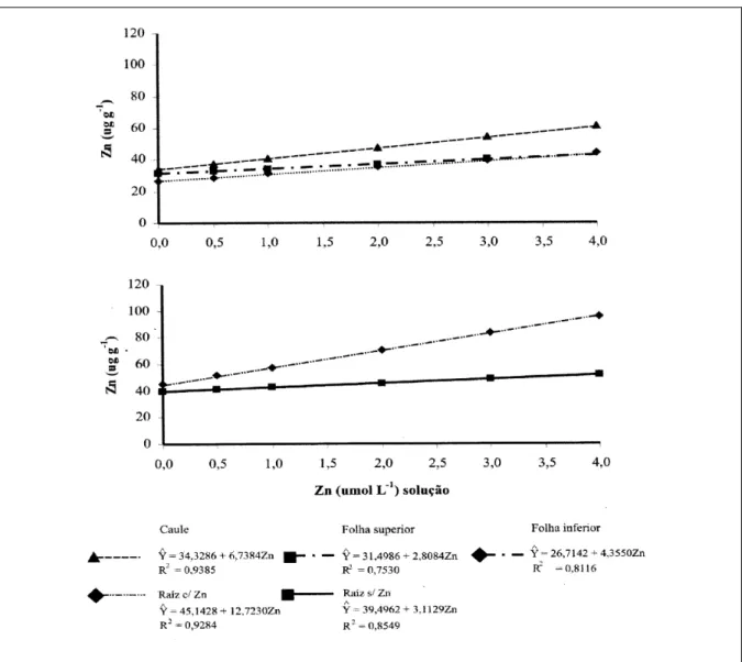 Figura 2 - Teor estimado de Zn em parte aérea e raízes de feijoeiro, em função de doses de Zn na solução nutritiva.