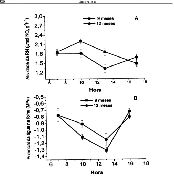 Figura 3 - Variação da atividade (A) de enzima redutase de nitrato (RN) e do potencial de água (B) em folhas de pupunheira de nove e doze meses, em função das horas do dia.