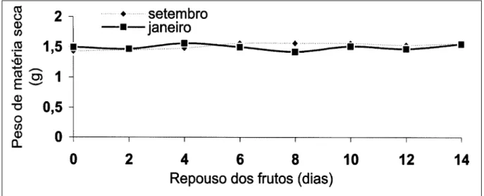 Figura 2 - Evolução do peso de matéria seca das sementes de mamão em função do período de repouso dos frutos colhidos em janeiro e setembro de 2003.