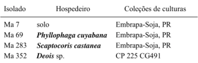 Tabela 1 - Isolados 1  de Metarhizium  anisopliae utilizados nos bioensaios com Scaptocoris  carvalhoi