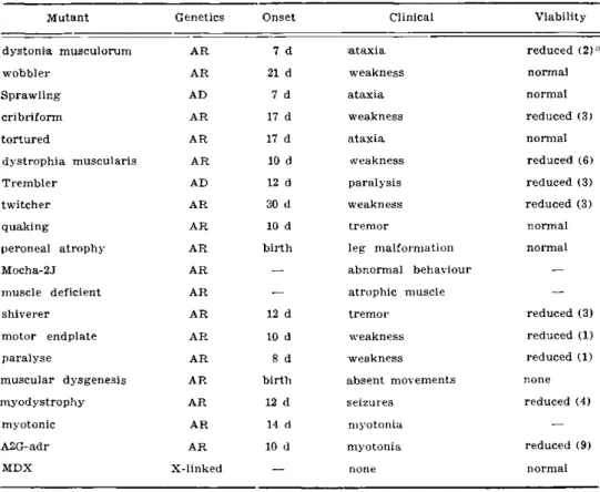 Table 2 — Genetic and clinical features of murine mutations. * (survival time in months,  normal mouse — 15-18 months); AR — autosomal recessive; AD — autosomal dominant