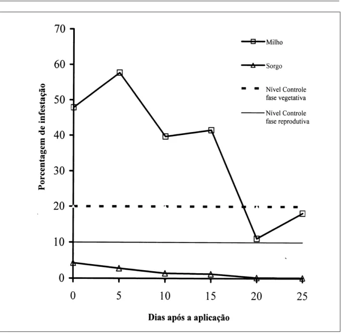 Figura 2 - Porcentagem de infestação de Spodoptera frugiperda nas culturas do milho e sorgo após a segunda aplicação