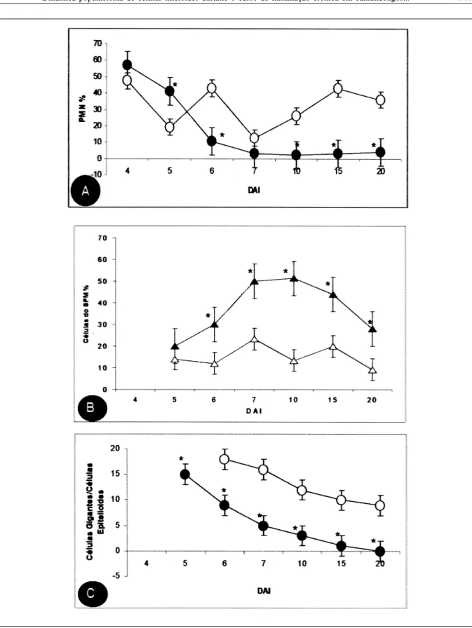 Figura 3 - Distribuição relativa de leucócitos aderidos às lamínulas implantadas no dorso de camundongos C57BL/6, nos animais controle (figuras vazias) e nos animais infectados com Toxoplasma gondii (figuras cheias)