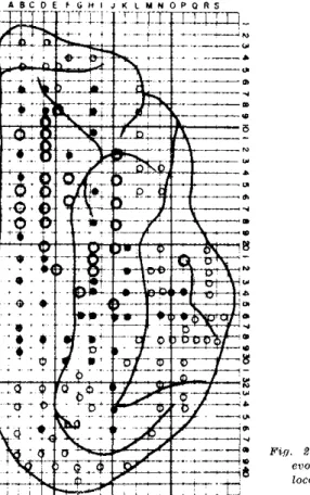 Fig. 2 — Relative amplitude of transcallosal  evoked potentials as a function of their  location on the cortex