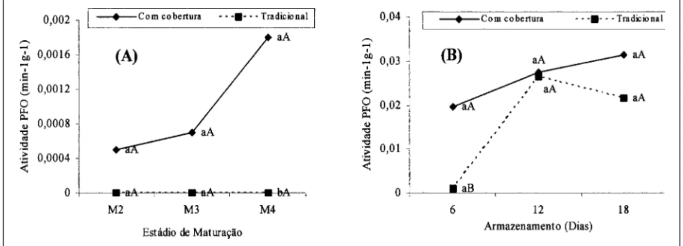 Figura 1 - Atividade da Polifenoloxidase (PFO) min -1 g -1  em pêssegos cultivar Chimarrita em três estádios de maturação na colheita (A), M2 -