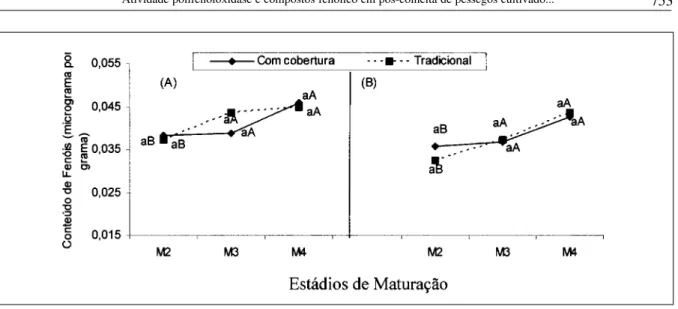 Figura 3 - Conteúdo de Fenóis (µg.g -1  peso fresco) em pêssegos cultivar Cerrito, na colheita (A) e durante o período de armazenamento (B),