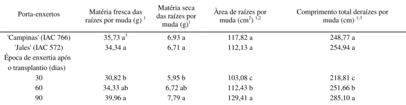 Tabela 2 - Matérias fresca e seca (g), área de raízes (cm 2 ) e comprimento total de raízes por muda (cm) da videira 'Rubi' (Vitis vinifera) enxertada aos 30, 60 e 90 dias após o transplantio dos porta-enxertos 'Campinas' (IAC 766) e 'Jales' (IAC 572) prop