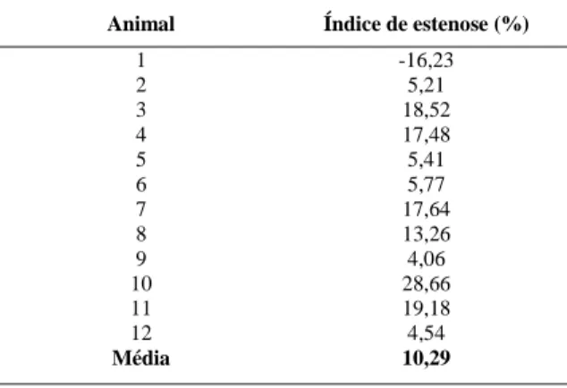 Tabela 1 – Índices de estenose esofágica observados no experimento, onde os maiores valores correspondem a estenose de maior intensidade.