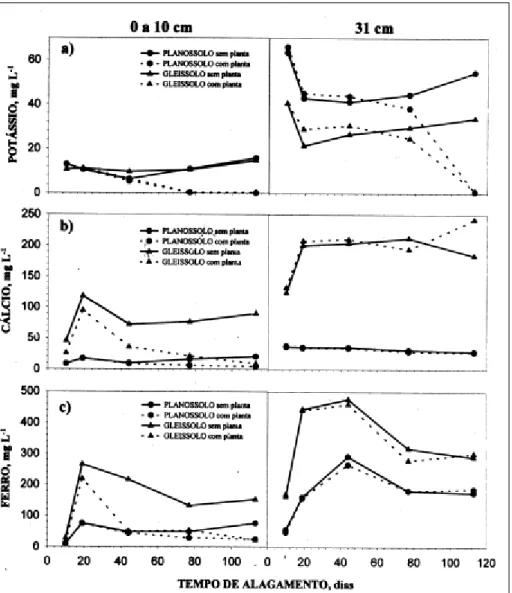 Figura 1 - Teores de potássio (a), cálcio (b) e ferro (c) na solução do solo em Planossolo e Gleissolo, com e sem planta, em função do tempo de alagamento e na média dos coletores da camada de 0 a 10cm e aos 31cm de profundidade.