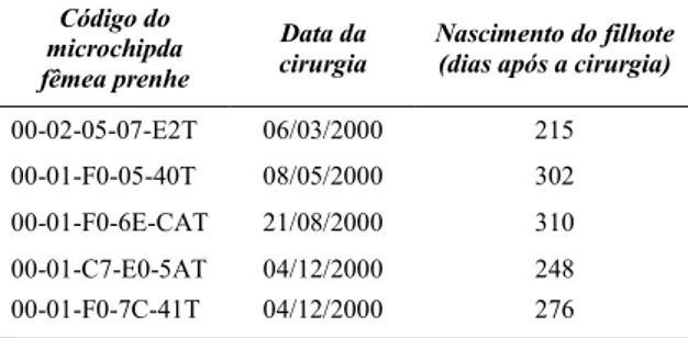 Tabela 1  Identificação das pacas submetidas à hemi- hemi-ovariossalpingohisterectomia do corno prenhe e posterior ocorrência de prenhez no corno restante.