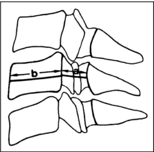 Fig 1. The Torg’s ratio (a/b) is a comparison between the sagittal diameter of the spinal canal (a) and the sagittal diameter of the vertebral body (b).