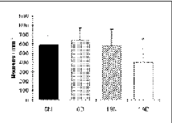 Fig 2. Number of myenteric neurons/mm 2  observed in the ileum of rats. Values are represented as means ± SD