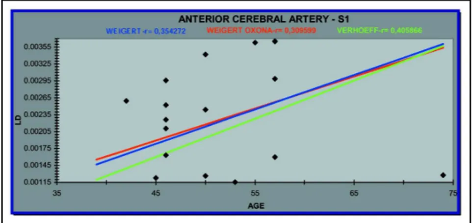 Fig 1. Linear regression analysis between linear density (Ld) of the segment one (S1), in the different stains, and age