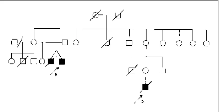 Fig 1. Heredogram for NCL1 family. (a) Patient 6; (b) Patient 7.