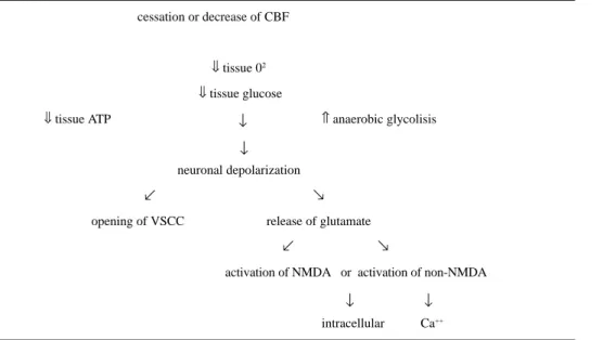 Fig 1. Excitotoxicity sequence.