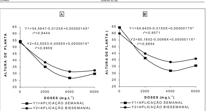 Figura 1  Altura de plantas de crisântemo, cultivar Snowdon, para doses de Daminozide com uma (A) e duas (B) semanas de dias longos