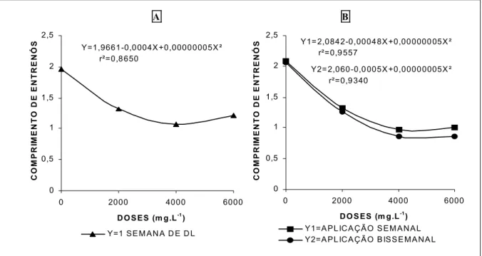 Figura 2  Comprimento de entrenós de crisântemo (cm), cultivar Snowdon para doses de Daminozide com uma semna de dias longo (A) e duas semanas de dias longos (B)
