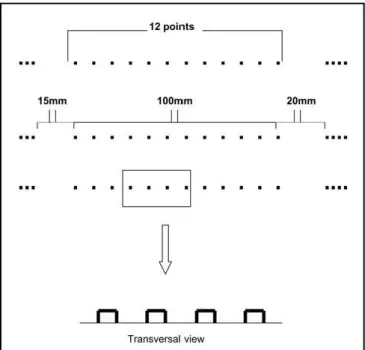 Fig 1. Tactile analogical scale.