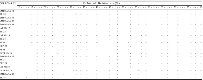 Tabela 1 - Padrões eletroforéticos de Mobilidade Relativa (MR) apresentado pelas cultivares pelo sistema APAGE