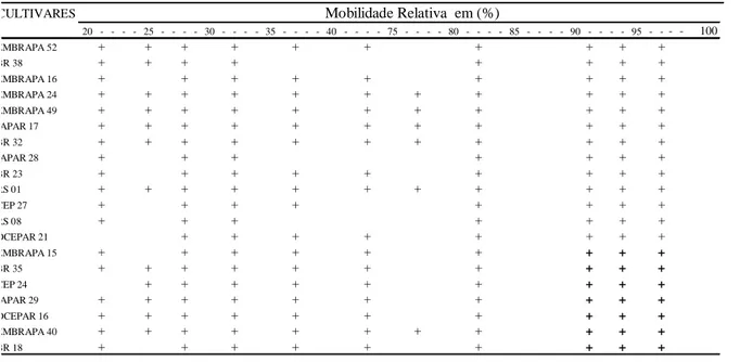 Tabela 2 - Padrões eletroforéticos de Mobilidade Relativa (MR) apresentado pelas cultivares para isoenzima esterase Pelotas, 1997.