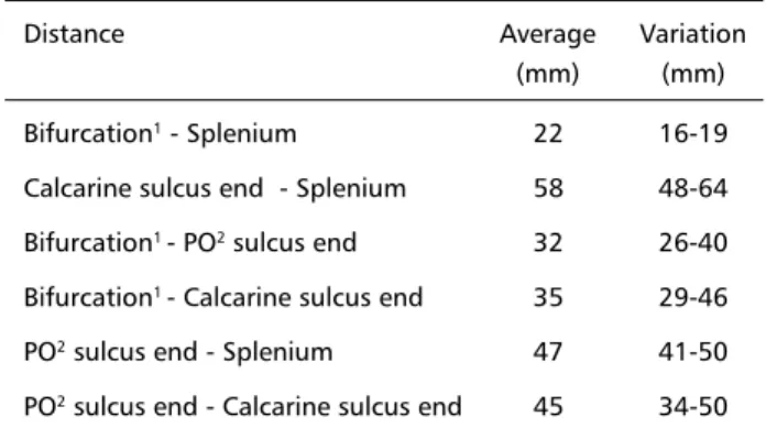 Table 1. Distance measured in the posterior interemispheric fis- fis-sure in 26 anatomic specimen.
