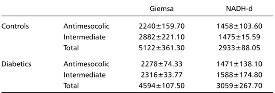 Table 4. Areas of cell body and nucleus profiles of the myenteric neurons of the proximal colon of control and diabetic rats.
