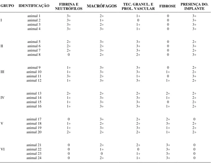 Tabela 1 - Distribuição dos aspectos analisados, em escala de 0-3+, em 24 ratos Wistar submetidos à reparação do músculo reto abdominal com implante de pericárdio canino conservado em solução hipersaturada de sal, nos períodos de avaliação de três, cinco, 