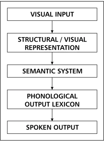 Fig 1. Schematic representation of the cognitive processes in- in-volved in oral naming  (adapted from Miceli et al., 1996).