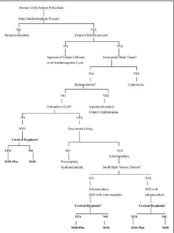 Fig 5. Algorithm to facilitate diagnosis of underlying brain anomaly in patients with absence of the septum pellucidum (Modified from Barlkovich et al