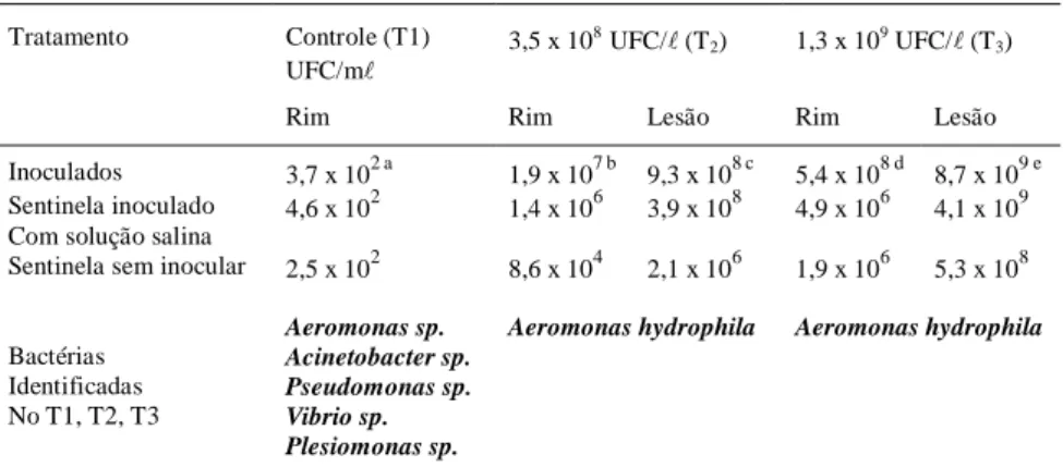 Tabela 2 – Identificação dos grupos de bactérias e resultado médio das contagens bacterianas da água de cultivo dos peixes inoculados após 24 horas.