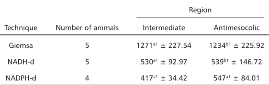 Table 1. Incidence of neurons of the myenteric plexus found in 6.64 mm 2  of the intermediate and antimesocolic regions of the descending colon of seven  month-old rats, with different techniques of neuronal staining.