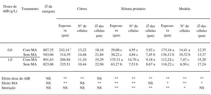 Tabela 1 - Morfologia das raízes secundárias de citrange Carrizo com a aplicação de ácido indolbutírico (AIB) na presença e ausência de micorrizas arbusculares (MA).