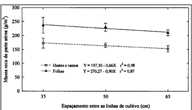 Figura 3 – Massa seca das plantas do feijoeiro em relação aos diferentes espaçamentos entre linhas de cultivo