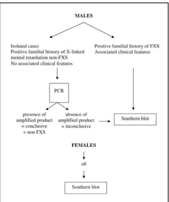 Fig. 4. Proposed algorithm for the laboratory diagnosis in Brazil of fragile X syndrome in male and female individuals with deve  -lopmental  disorders