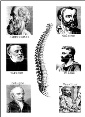Fig 1. A composition showing our heros medical ancenstors a round the spinal column and the interv e rtebral disc spaces depicted by Vesalius in “De humani Corporis Fabrica”