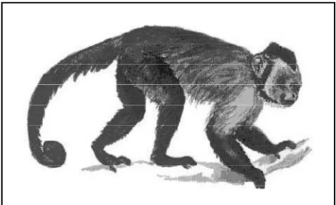 Fig 1. Jean-Martin Charc o t (1825-1893) (Extracted fro m http://webperso. easycon  -nect.fr/baillement/ images/