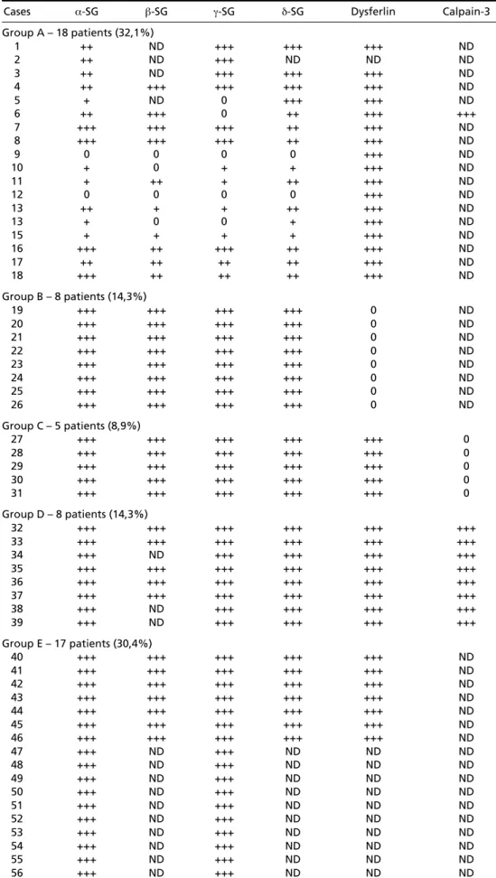 Table 1. Immunocytochemical and western blot analysis.