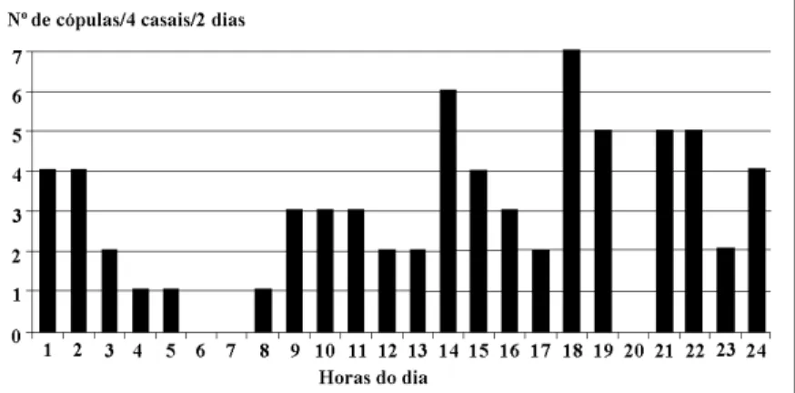Figura 1 - Número de casais de Hedypathes betulinus copulando em Ilex paraguariensis ao longo do dia durante o período experimental