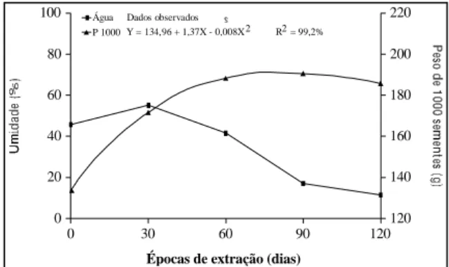 Figura 2 - Umidade e peso de 1000 sementes de porongo para diferentes momentos da extração do fruto