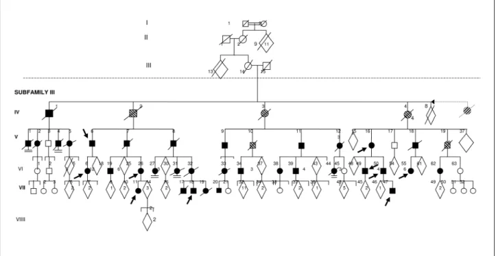Fig 2. Pedigree of subfamily III with 162 persons in 5 generations and 34 affected.