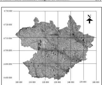 Figura 2 - Imagem georreferenciada do município de Santa Maria - RS.