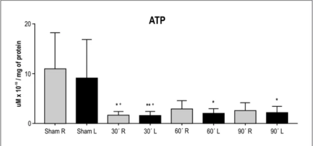 Fig 1. ATP levels in samples from the right (R) and left (L) brain hemispheres of sham animals  and animals submitted to ischemia for 30, 60 and 90 min